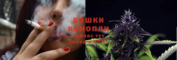 бошки Новодвинск