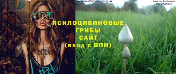 молекула духа Новокубанск