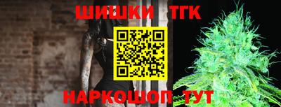 гашик Жуковский