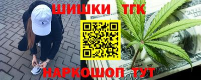 гашик Жуковский