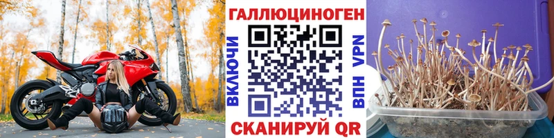 Псилоцибиновые грибы Magic Shrooms  Нижний Тагил 