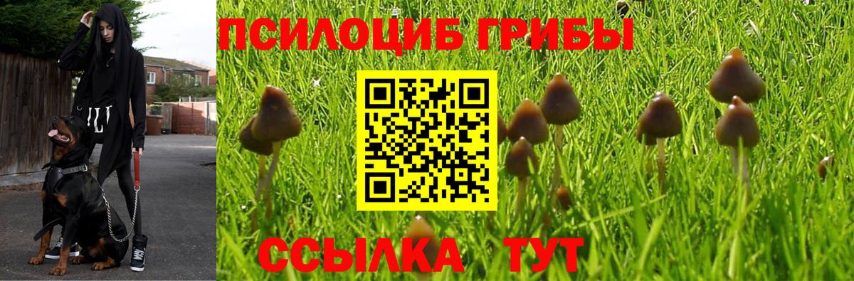 Галлюциногенные грибы мухоморы  Вход с VPN  Псилоцибиновые грибы Psilocybine cubensis  Нижний Тагил 